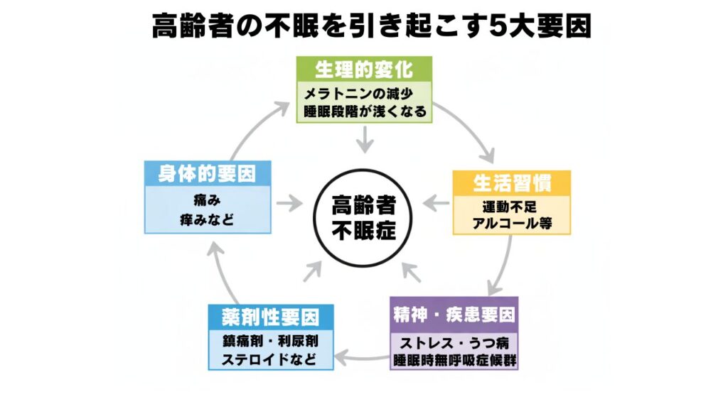 高齢者の不眠の5大要因(生理的変化、生活習慣、身体的要因、精神・疾患要因、薬剤性要因)が相互に関連しあっていることを示す図