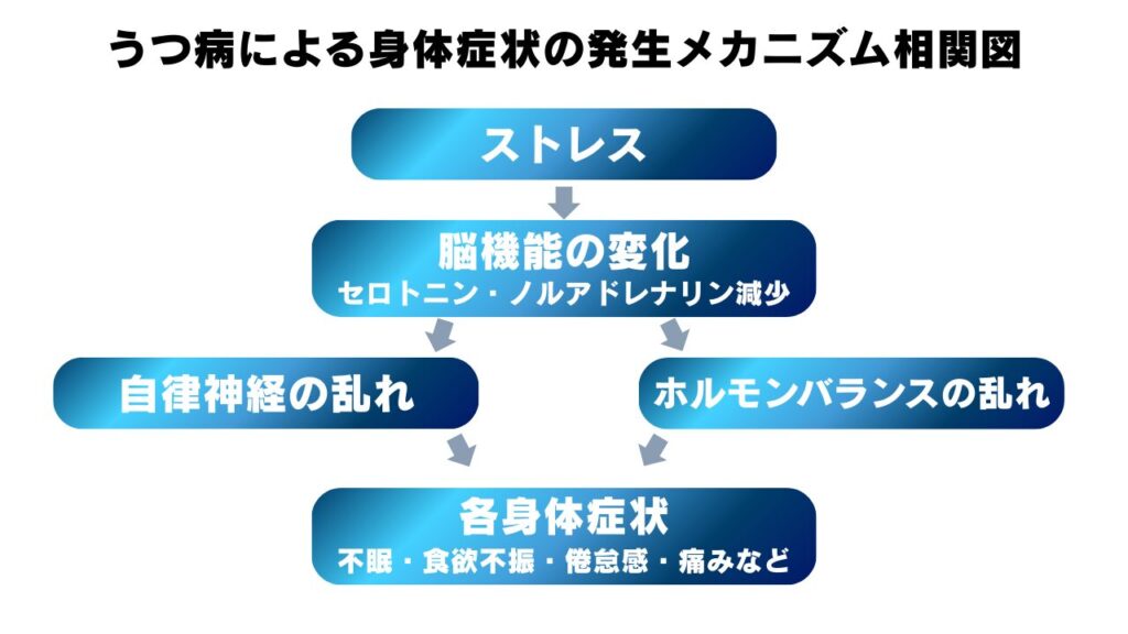 うつ病による身体症状発生メカニズムの相関図