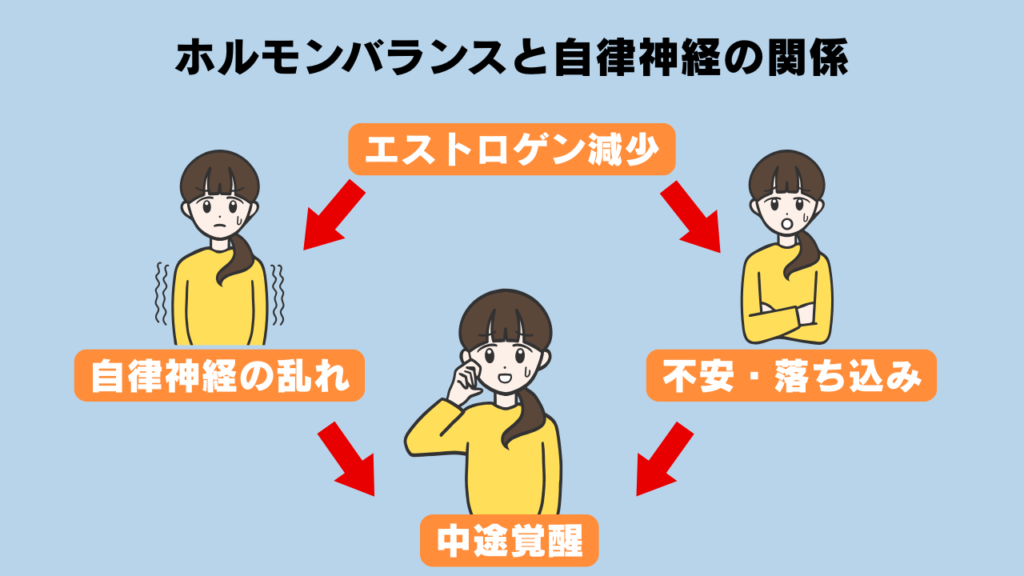 ホルモンバランスと自律神経の関係を図解イラスト